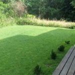 Lawn maintnenance landscaping services costa rica