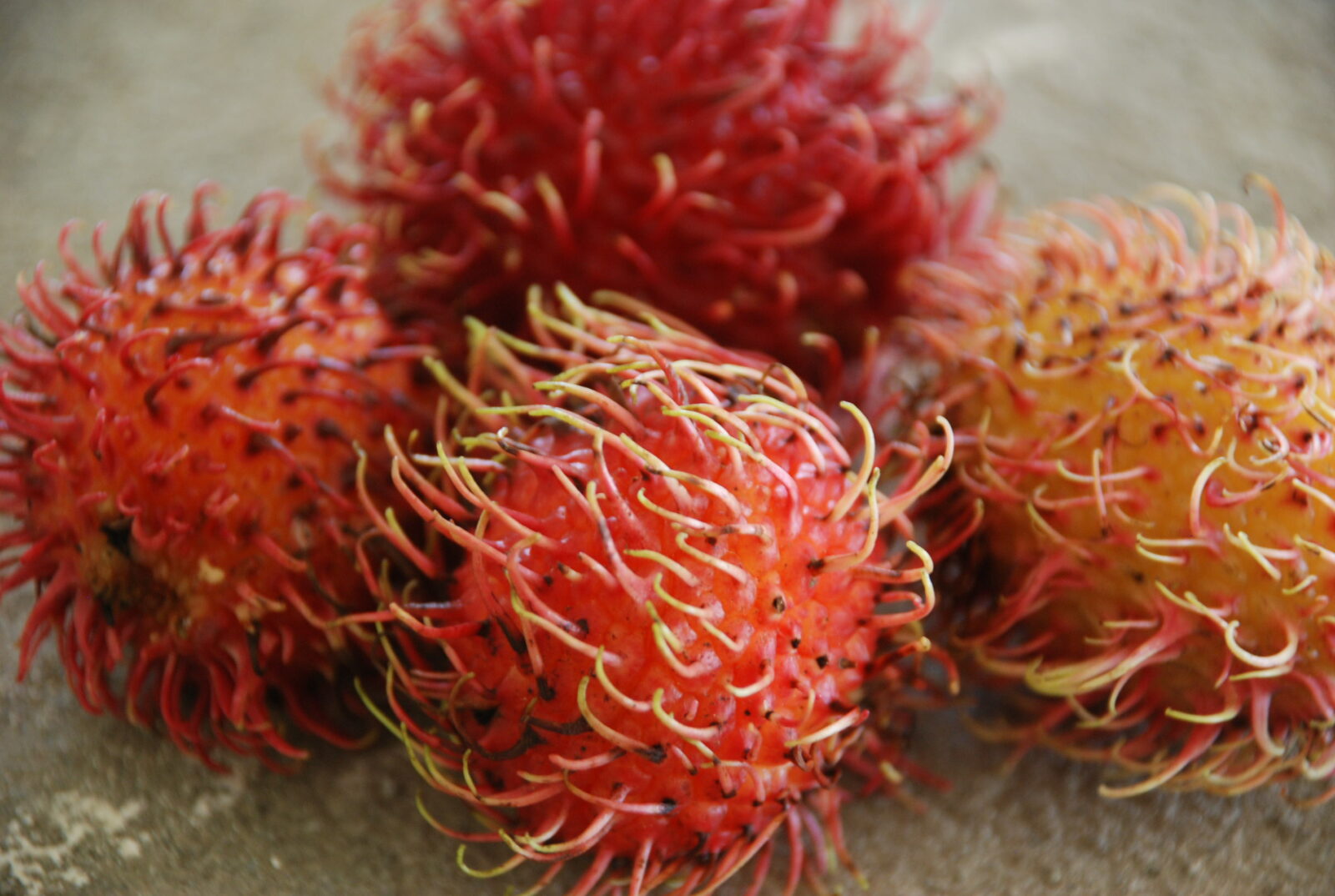 How to Eat Rambutan Fruit or Mamones Chinos