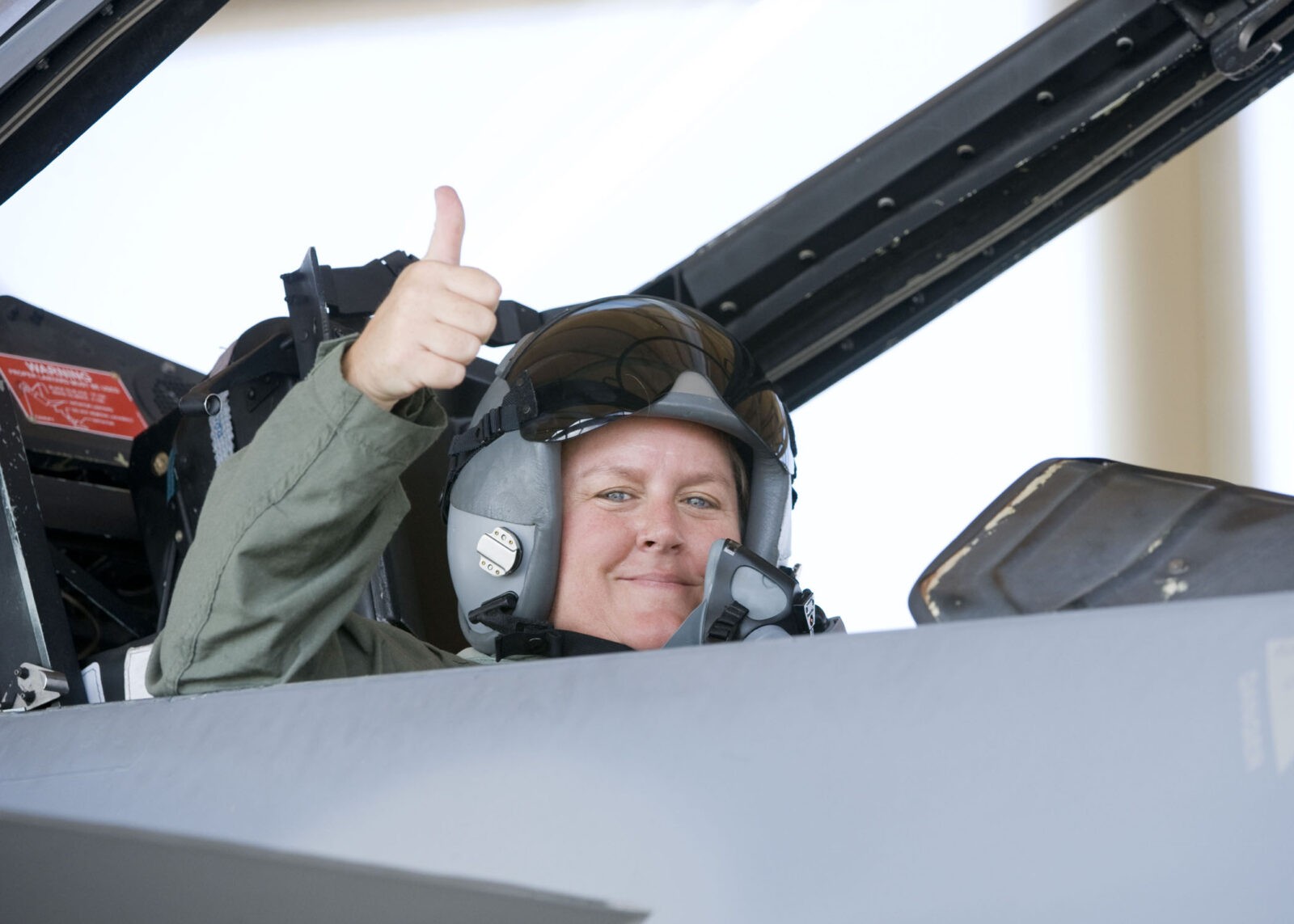 Lisa norman f15 jet