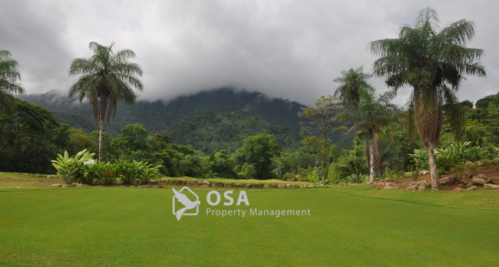 Osa Golf Update