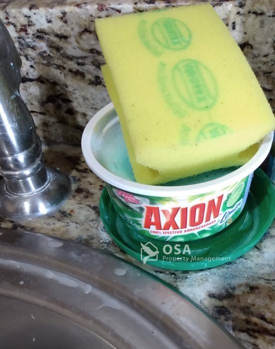 dishsoap costa rica axion