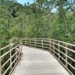 Boardwalk manuel antonio national park