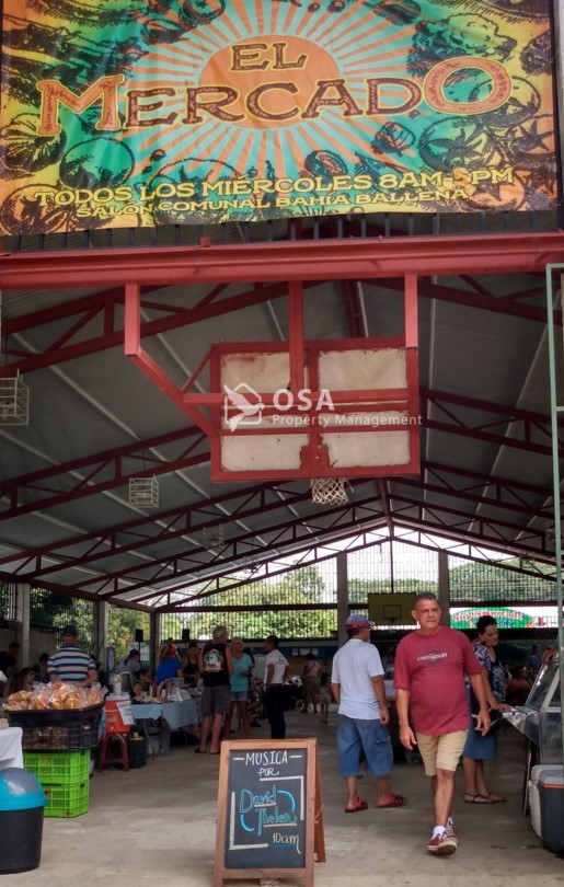 grocery shopping in uvita farmers market uvita