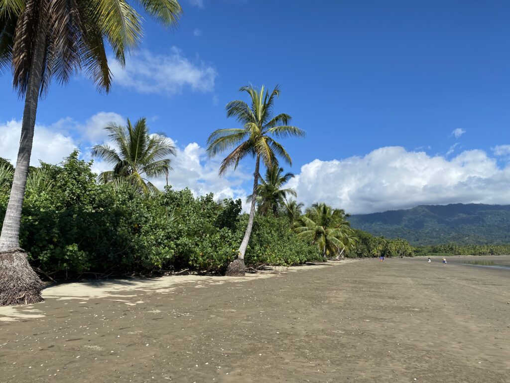 Guide Marino Ballena National Park