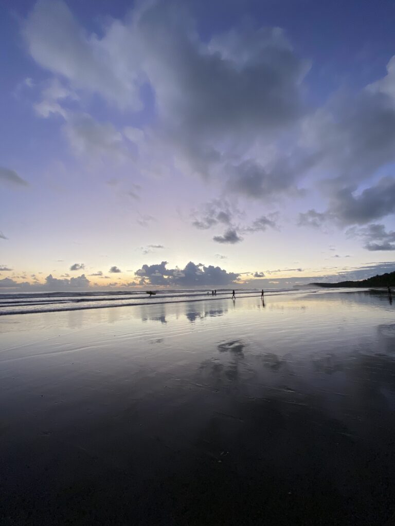 Guide Marino Ballena National Park