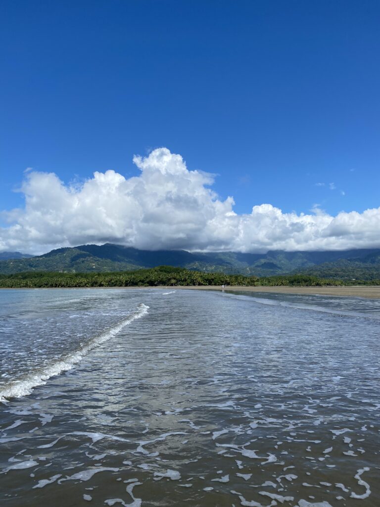 Guide Marino Ballena National Park