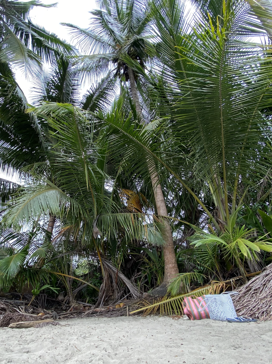 Guide Marino Ballena National Park