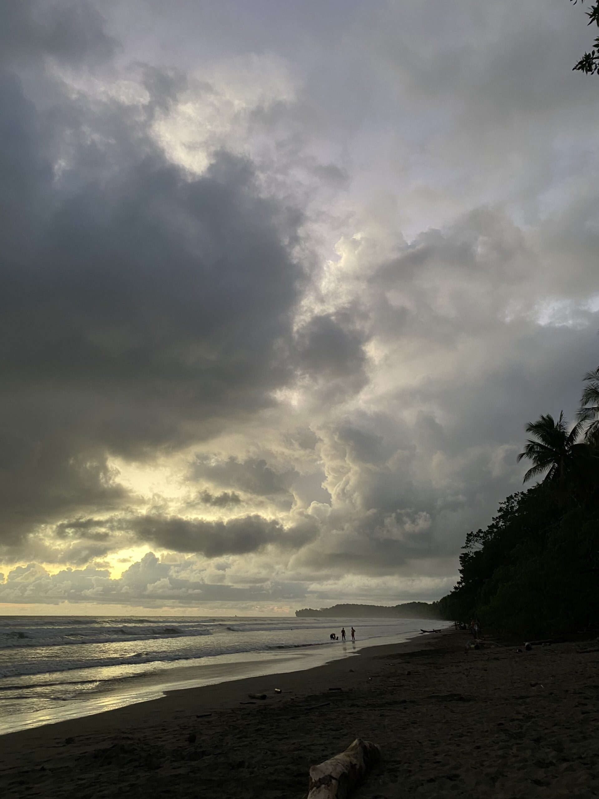 Guide Marino Ballena National Park