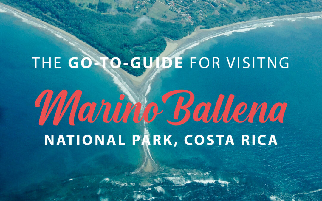 Guide to Marino Ballena National Park