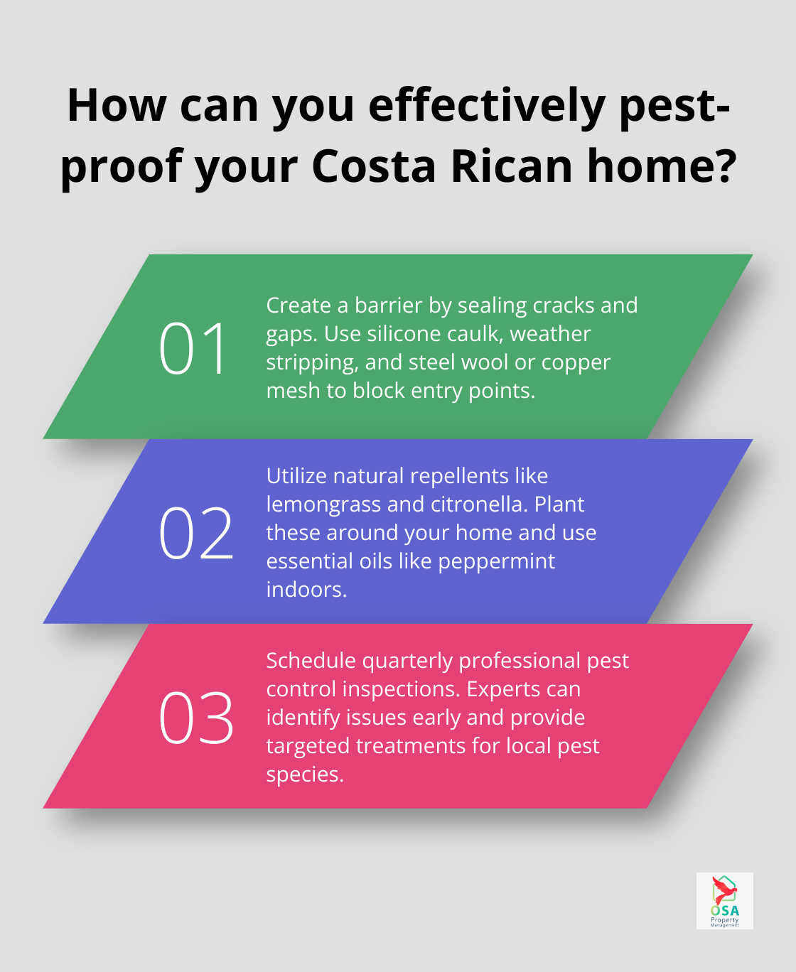 Infographic: How can you effectively pest-proof your Costa Rican home?