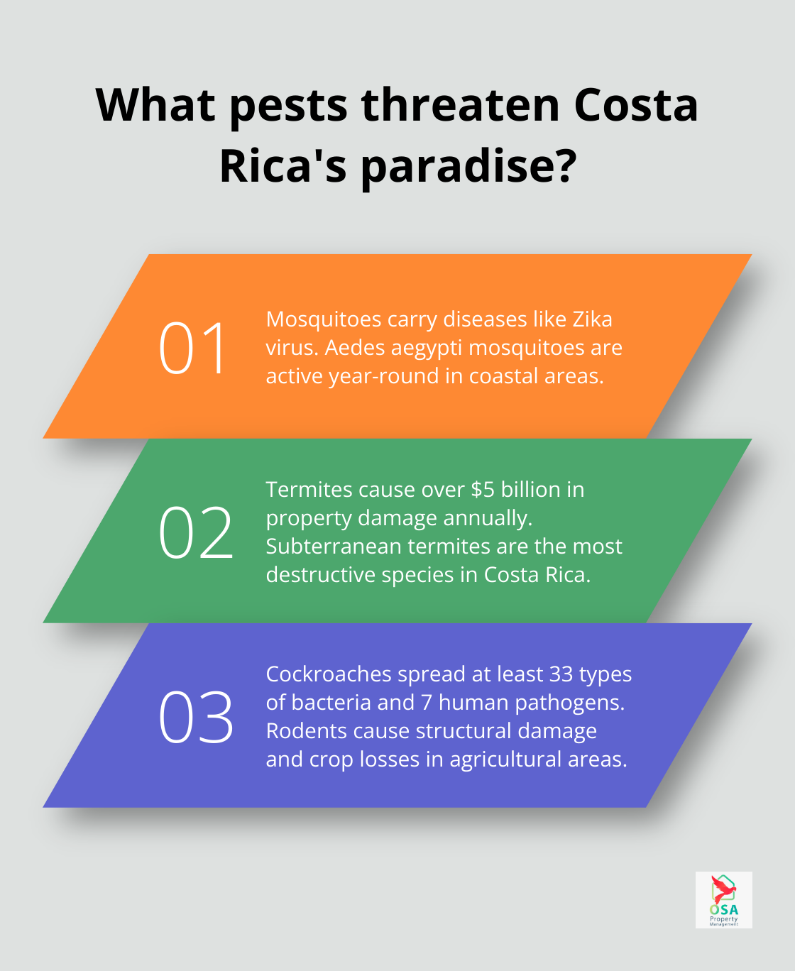 Infographic: What pests threaten Costa Rica's paradise?