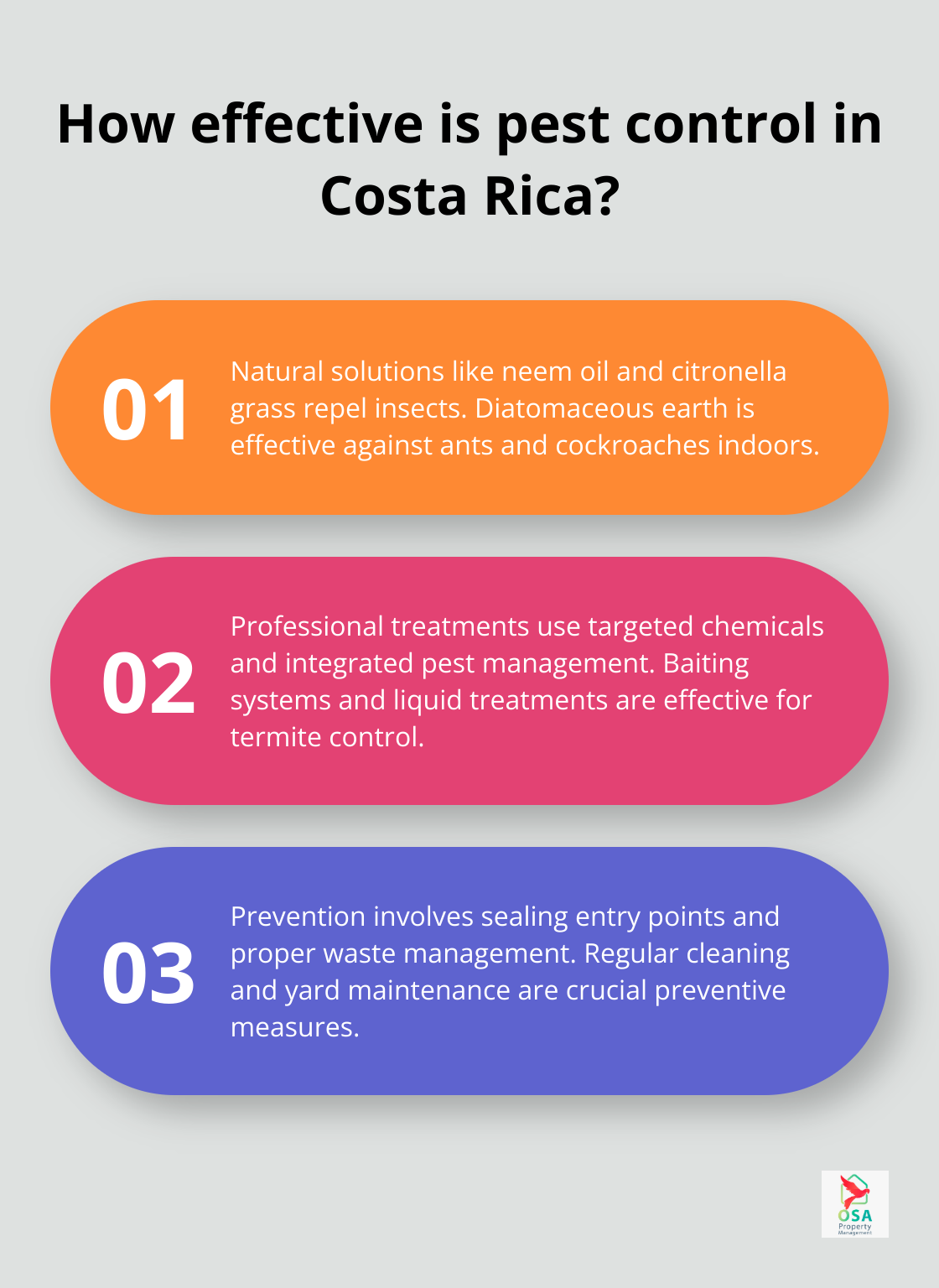 Infographic: How effective is pest control in Costa Rica? - Pest control Costa Rica