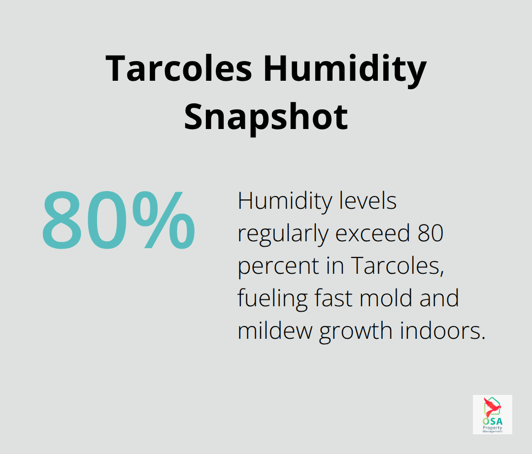 Illustration of Tarcoles humidity level exceeding 80 percent and its impact on mold risk. - Tarcoles maintenance scheduling tips