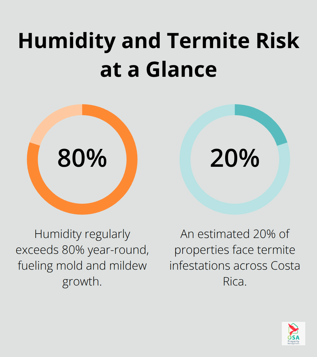 Chart showing Costa Ricas high humidity and the share of properties with termite infestations.
